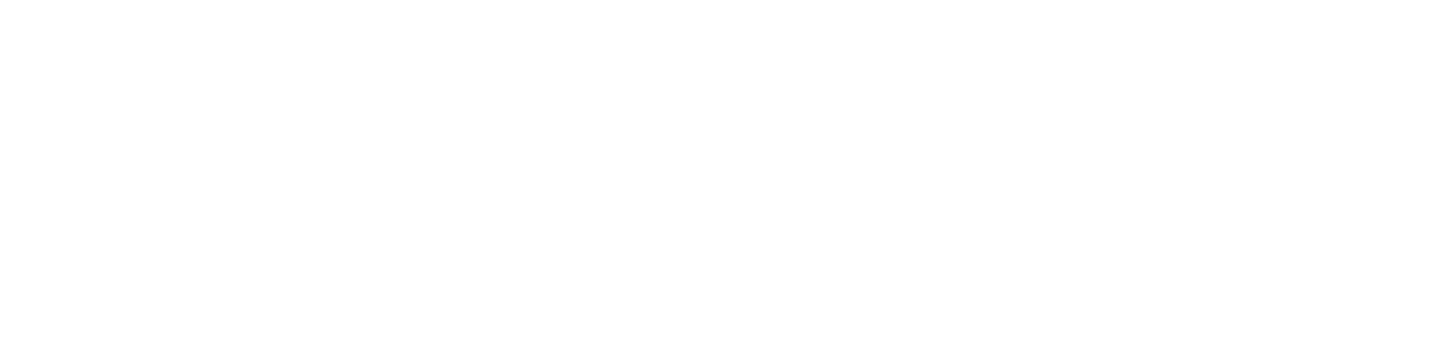 Virtueel ziekenhuis